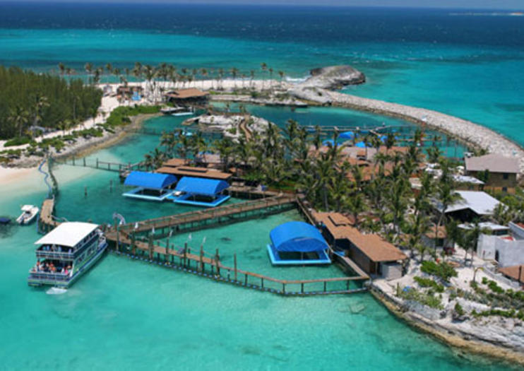 island tours nassau bahamas